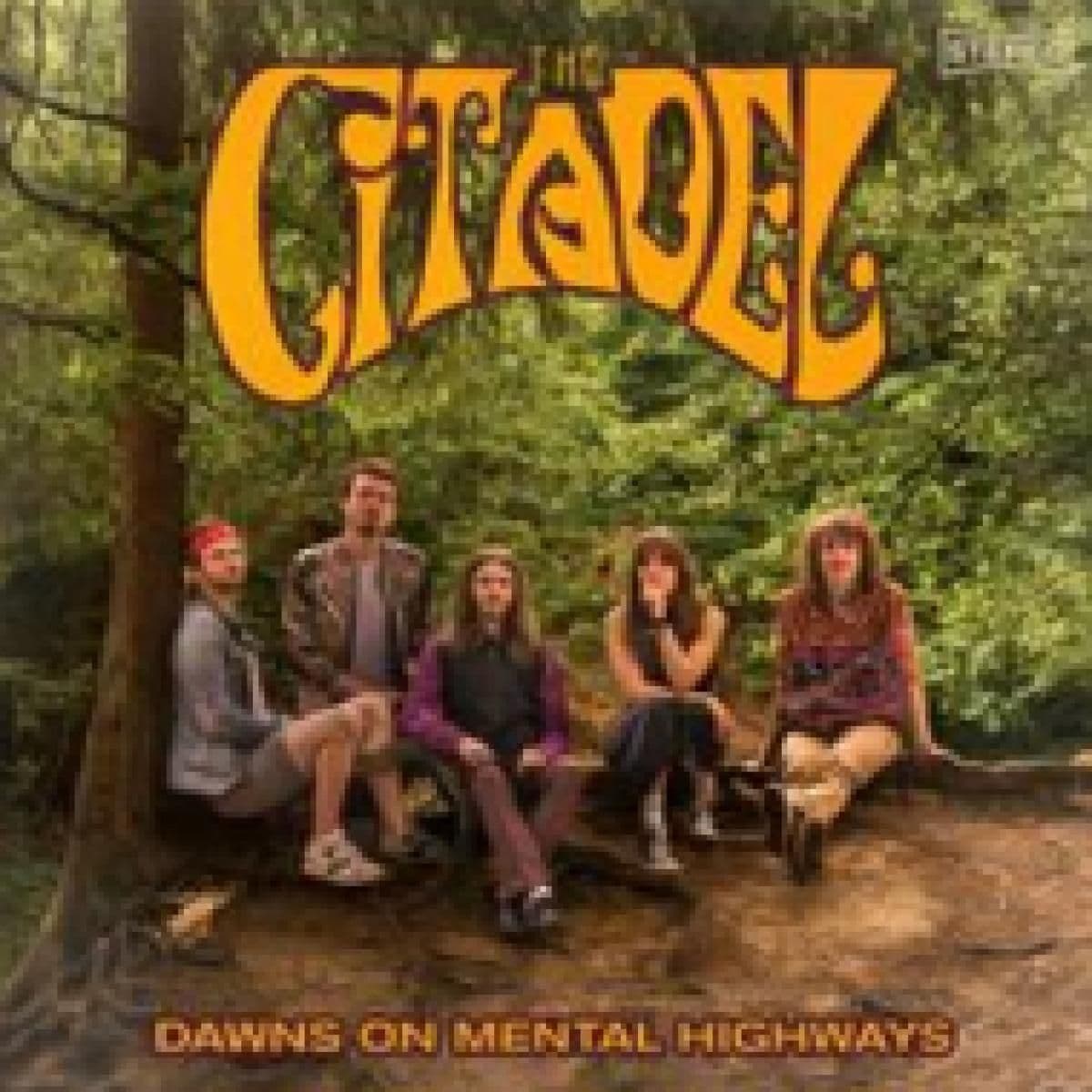 Dawns On Mental Highways LP