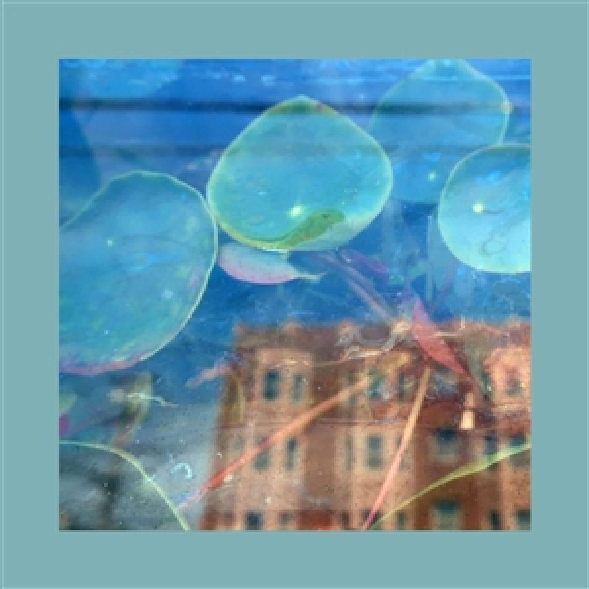 Acknowledge Kindness LP