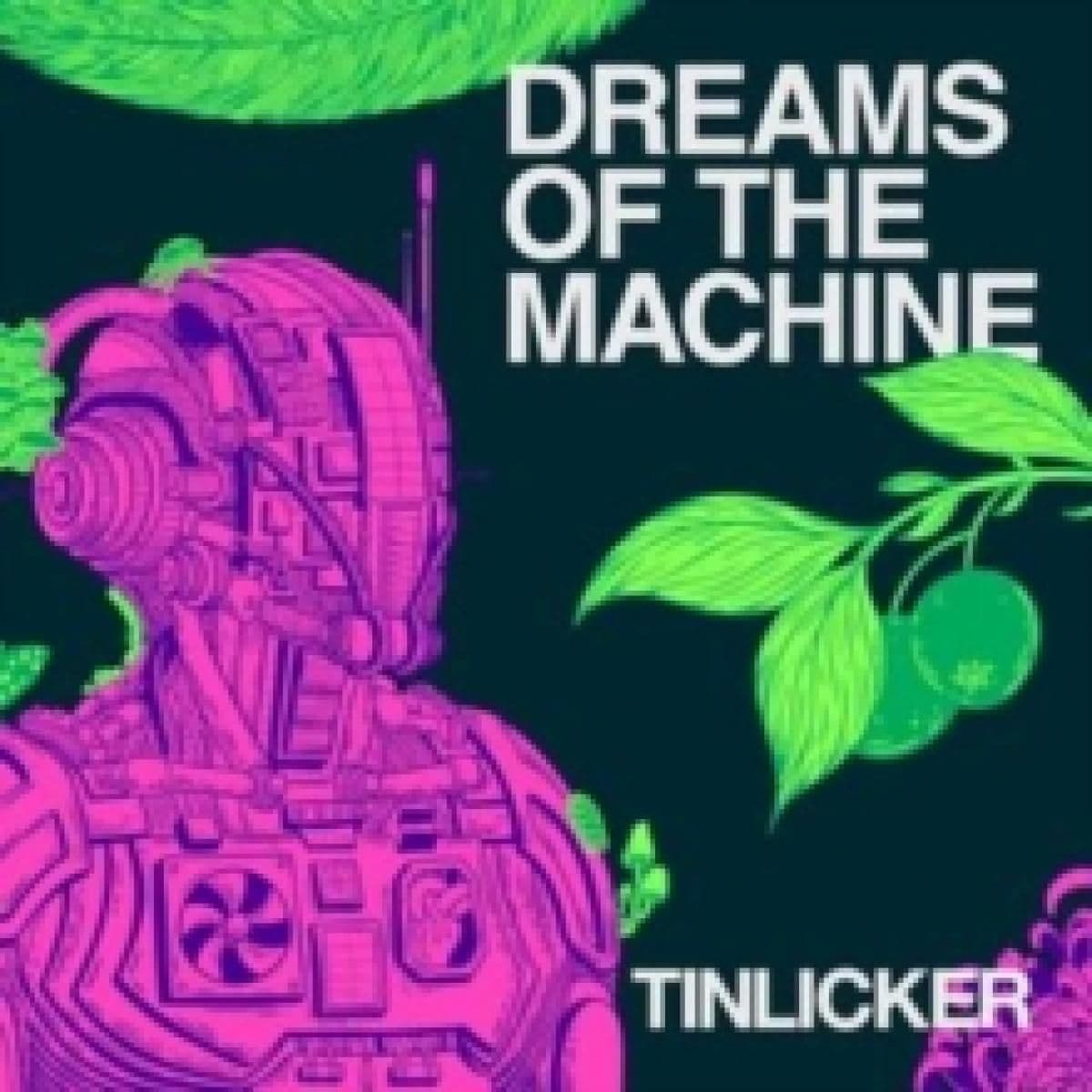 Dreams of the Machine LP
