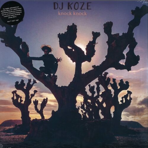 PAMPALP013 PAMPA Dj Koze Knock Knock 2LP7 Electronic 303108