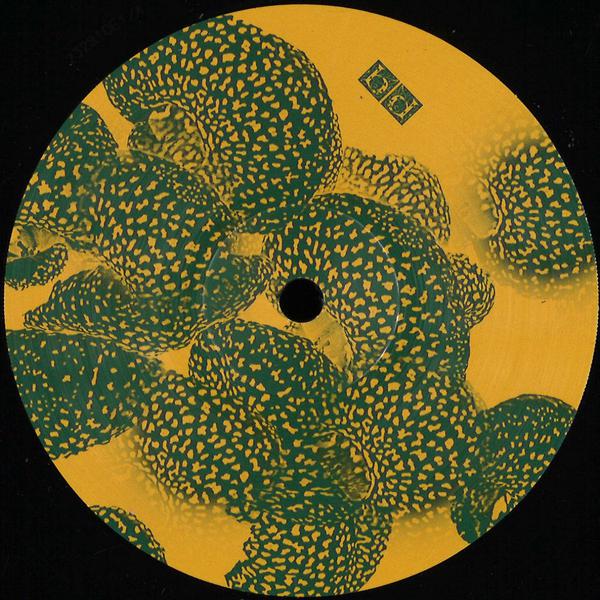 Unknown Artist - PP 003 Peculiar Plants PP003