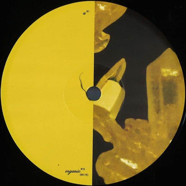 Unknown - Unknown Yellow Wax YW007