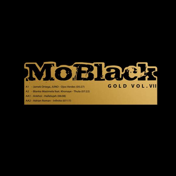 Various - MoBlack Gold Vol. VII MOBLACK RECORDS MBRV027