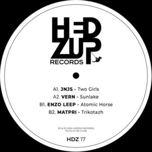 Various - HDZ #17 Hedzup HDZ17