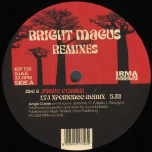 ICP733 BRIGHT MAGUS - LTJ XPERIENCE / DJ ROCCA REMIXES