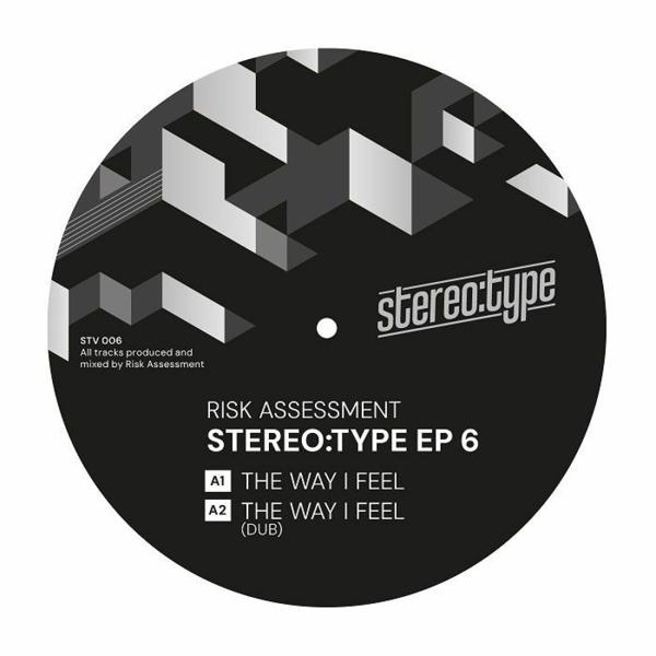 STV006 Risk Assessment - Stereo:type EP 6